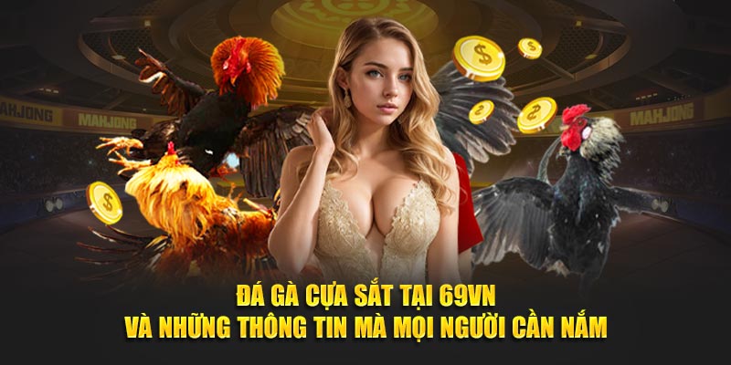 Đá Gà Cựa Sắt Tại 69VN Và Những Thông Tin Mà Mọi Người Cần Nắm